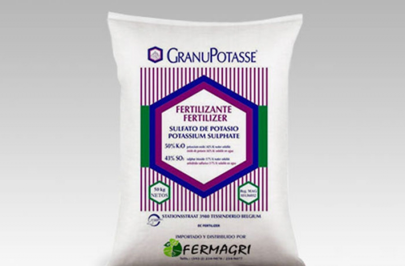 Lorem ipsum dolor sit amet