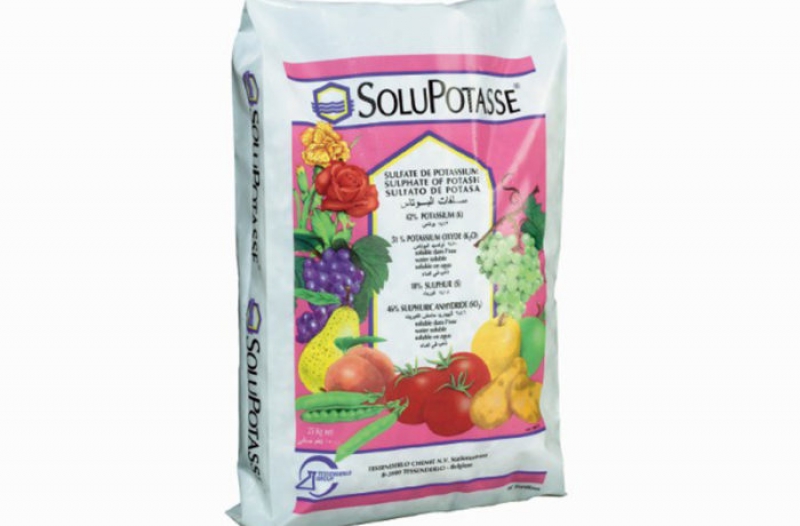 Lorem ipsum dolor sit amet