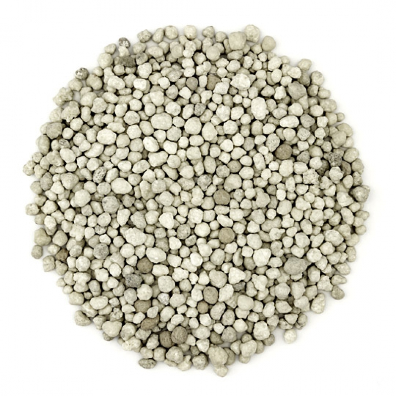 Lorem ipsum dolor sit amet